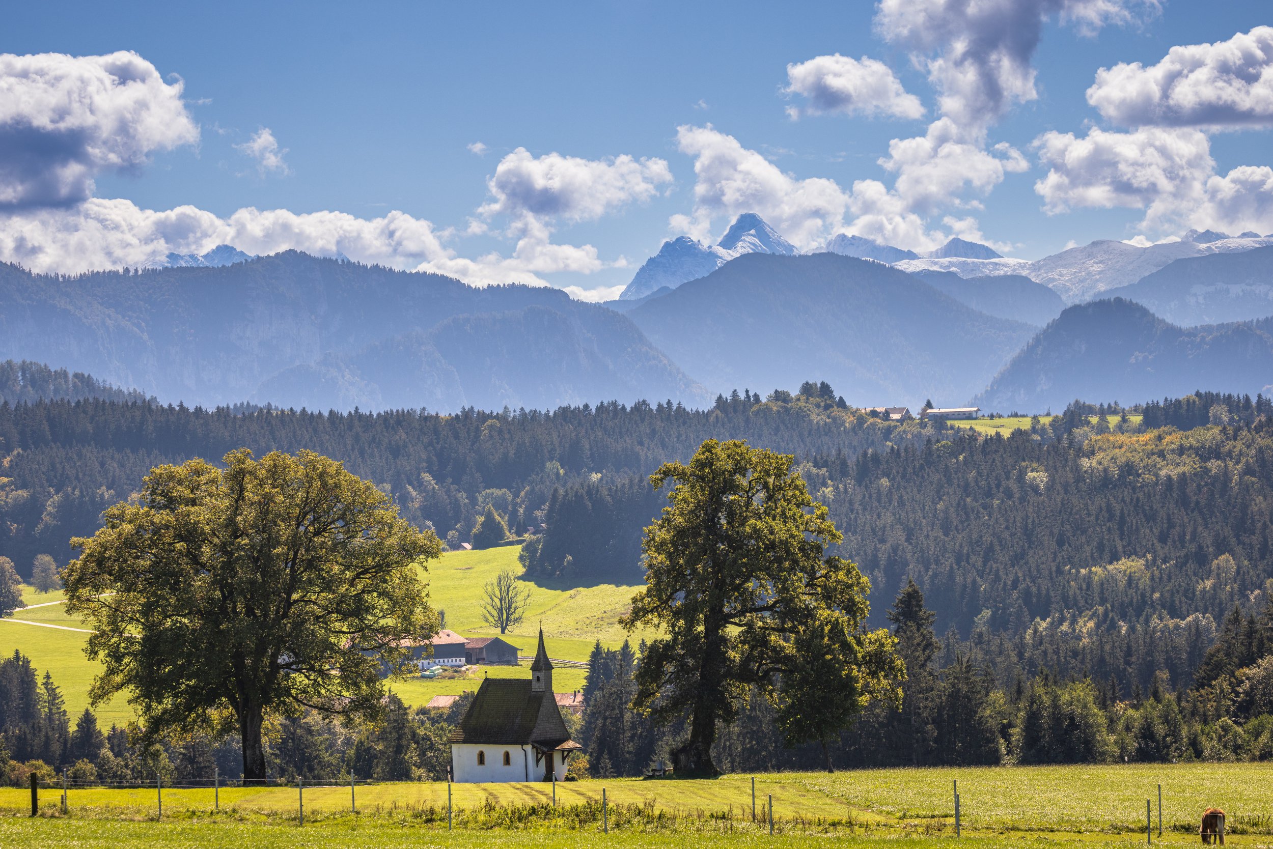 Panorama Sommer mit Chiemgauer Bergwelt