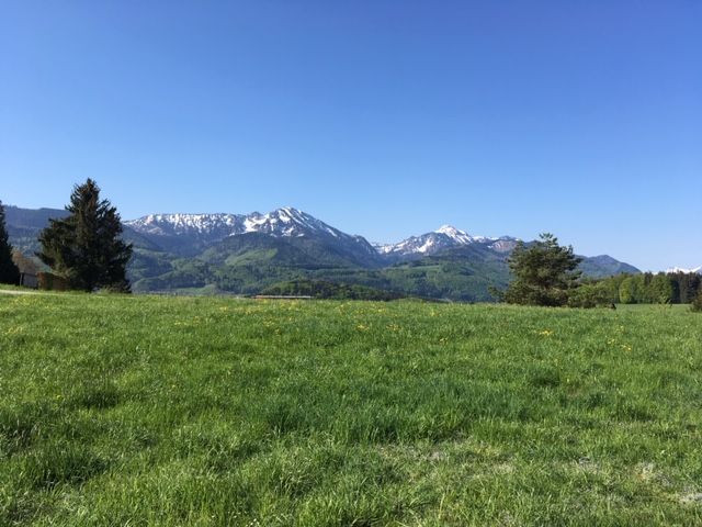 Panoramablick