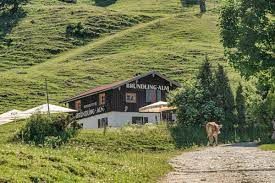 Bründling Frontansicht