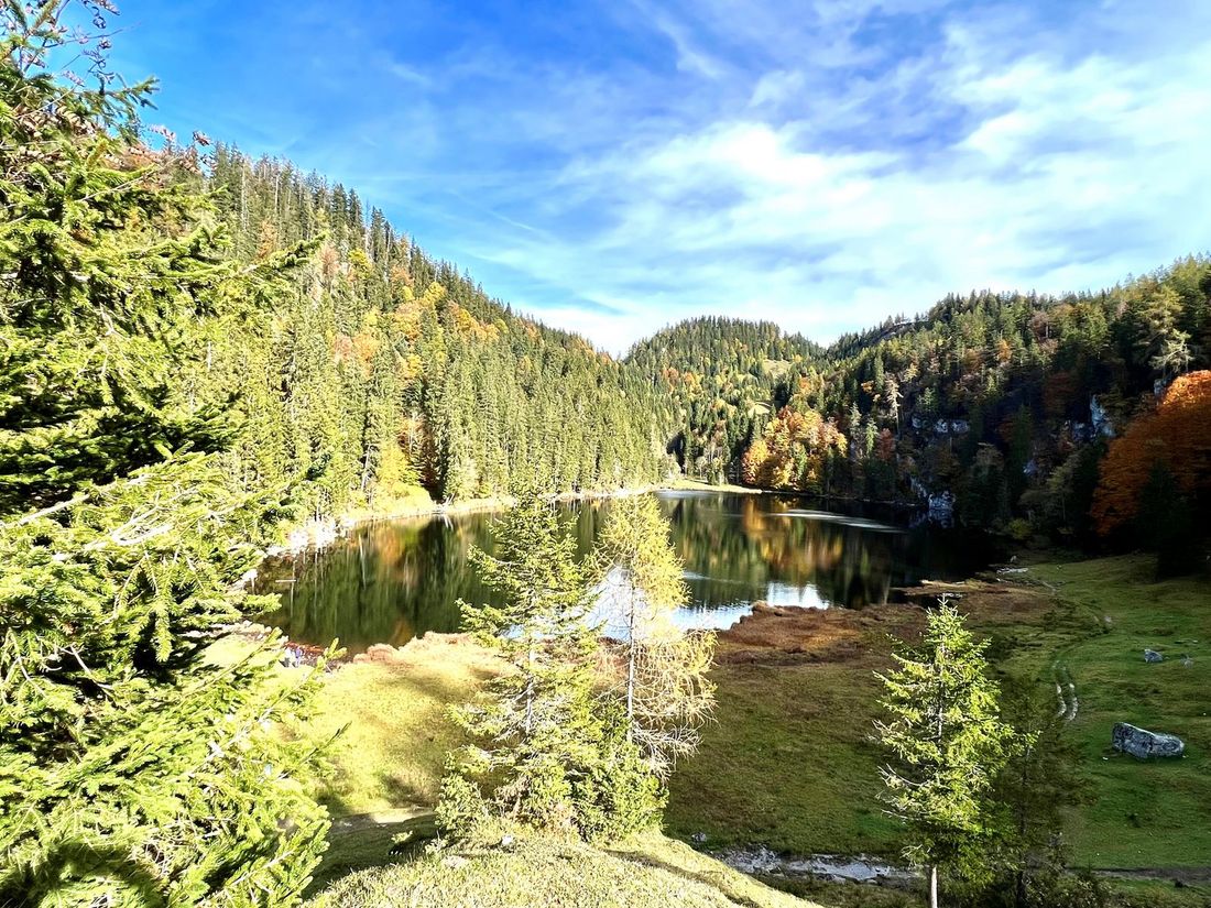 Taubensee