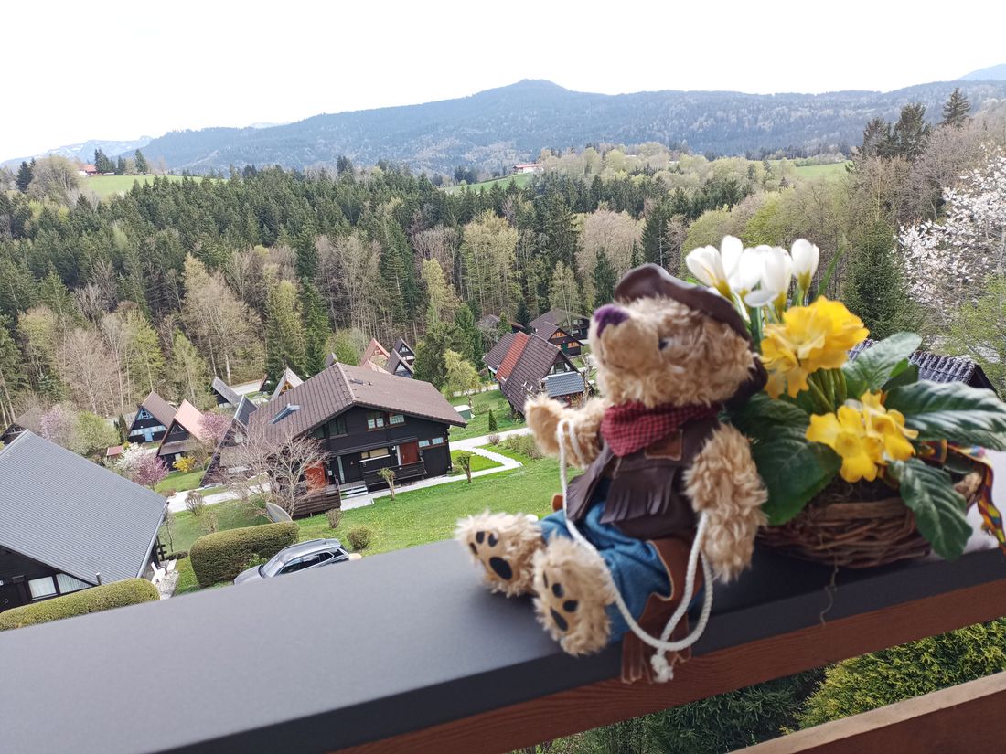 Blick vom oberen Balkon nach Süden