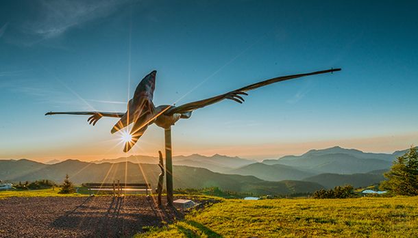 Flugsaurier auf der Steinplatte