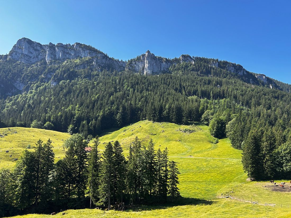Blick auf die Gedererwand