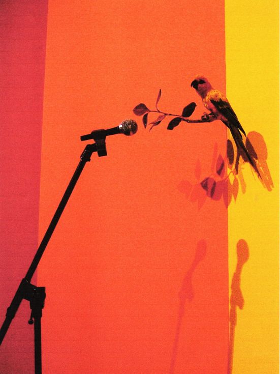 Ausstellungseröffnung