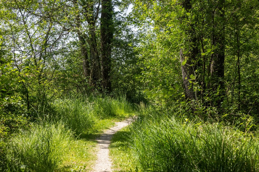 Rottauer Waldtierweg