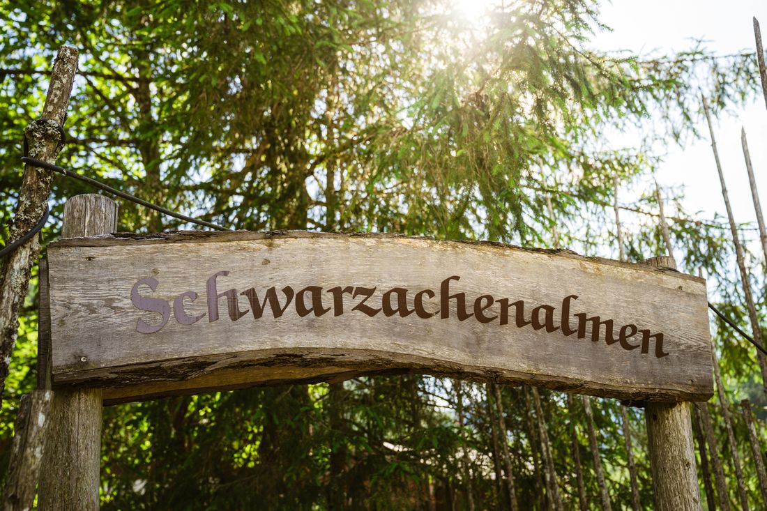 Schild