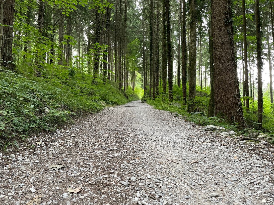 Weg zur Schnappenkirche