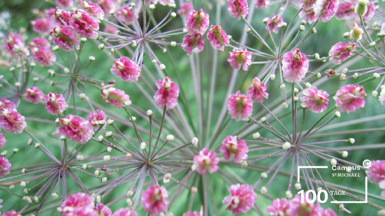 251115_Der EDEN Pilgerweg