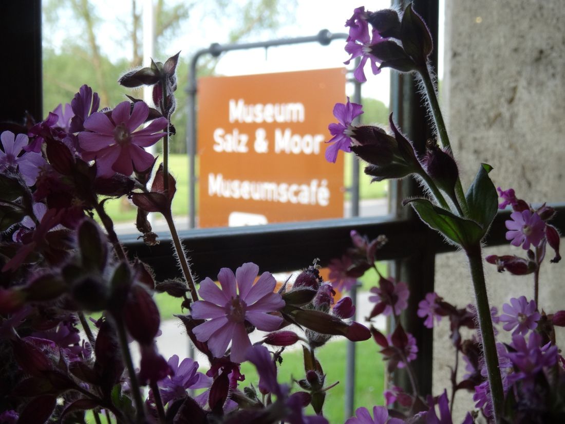 Museum Salz & Moor