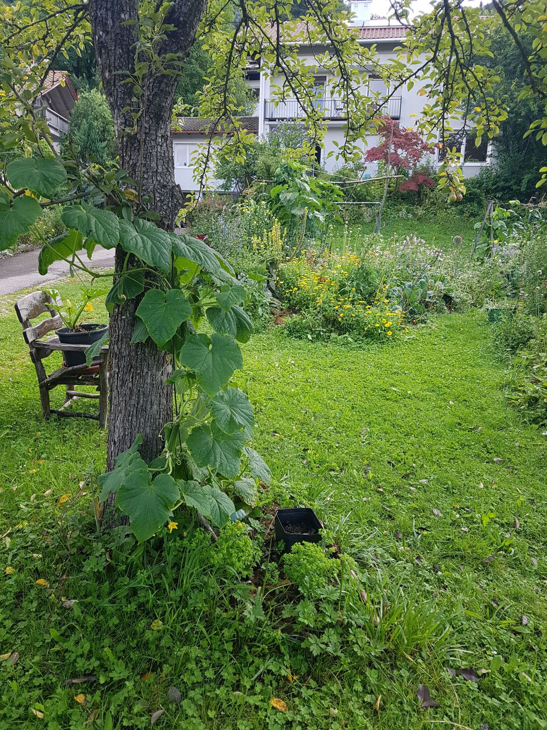 Haus vom Garten aus