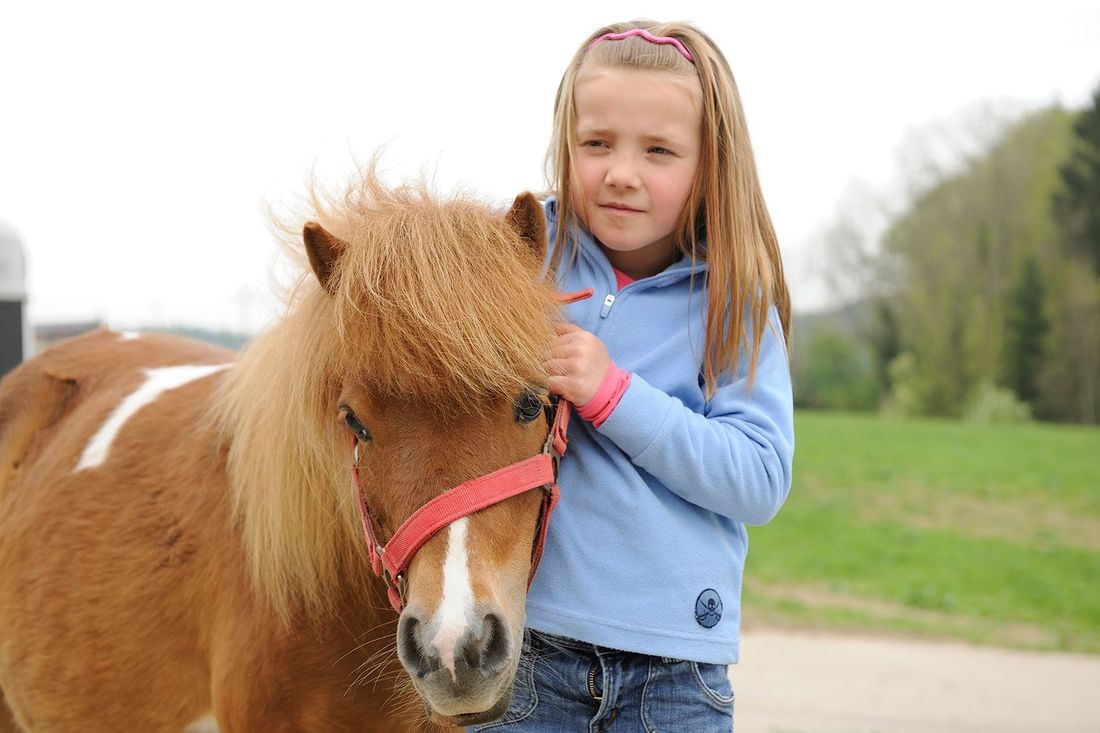 Unser Pony Lucca