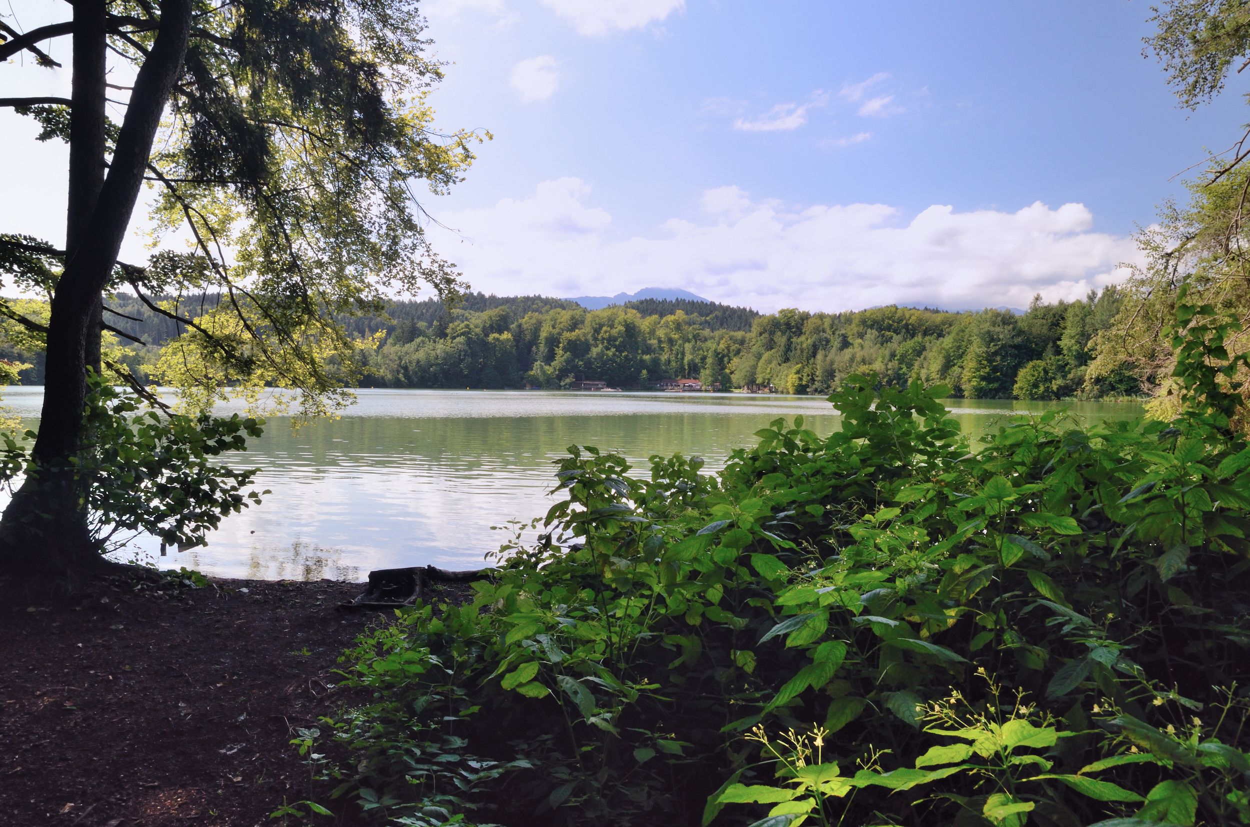 geheimtipp-tuettensee-hans-zimmermann_1