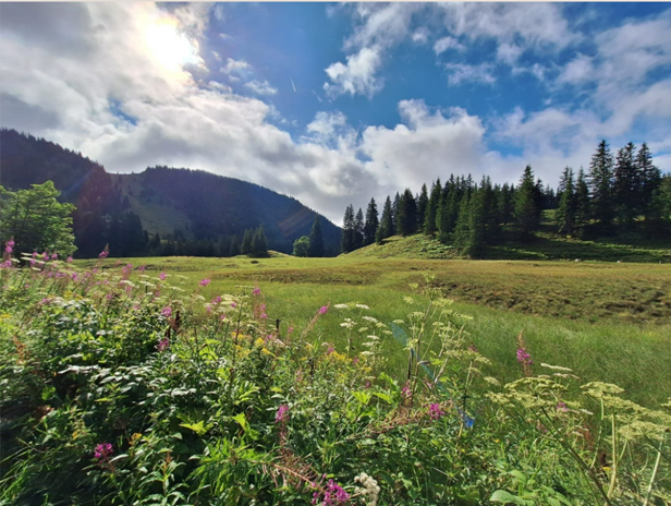 Kräuter- Ausicht Wanderung (2)