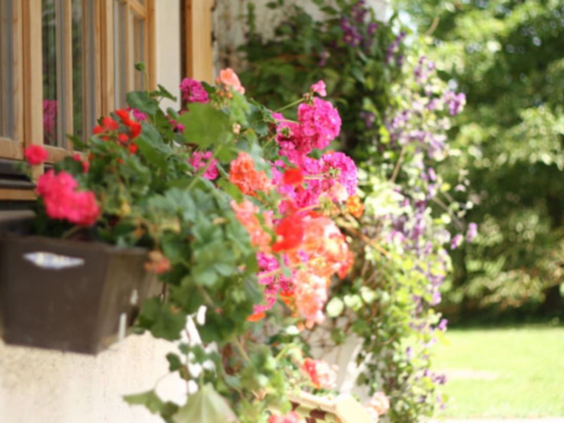 Blumen