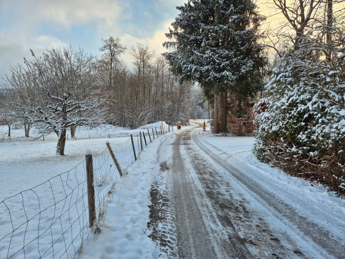 Direkt nebenan gibt es viele Wanderwege.