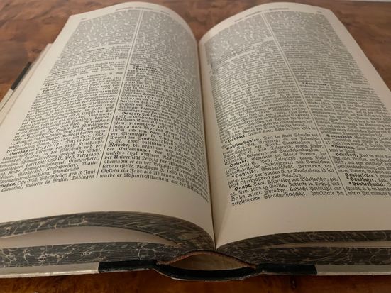 Buch Freundschaftsclub Haywards