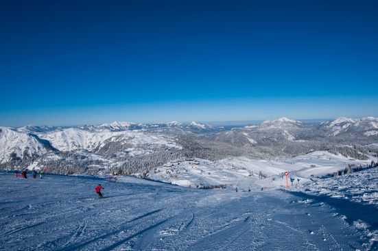 winklmoos-steinplatte_0022