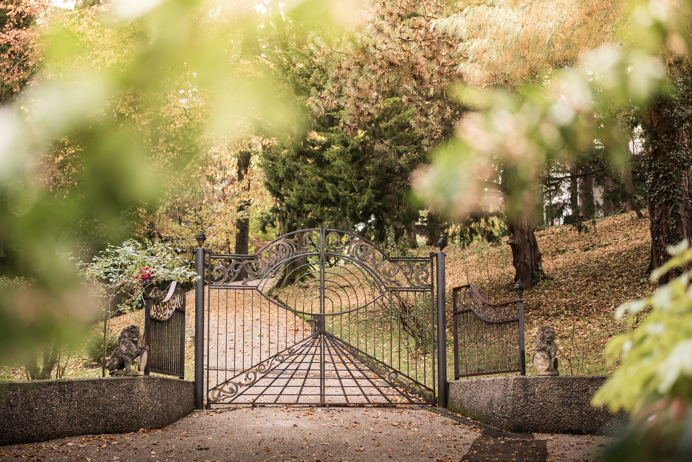 Wolfgang-Sawallisch-Stiftung Eingang