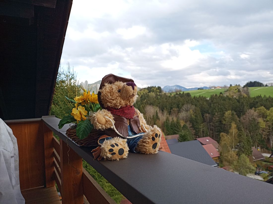 Ausblick vom oberen Balkon nach Südosten