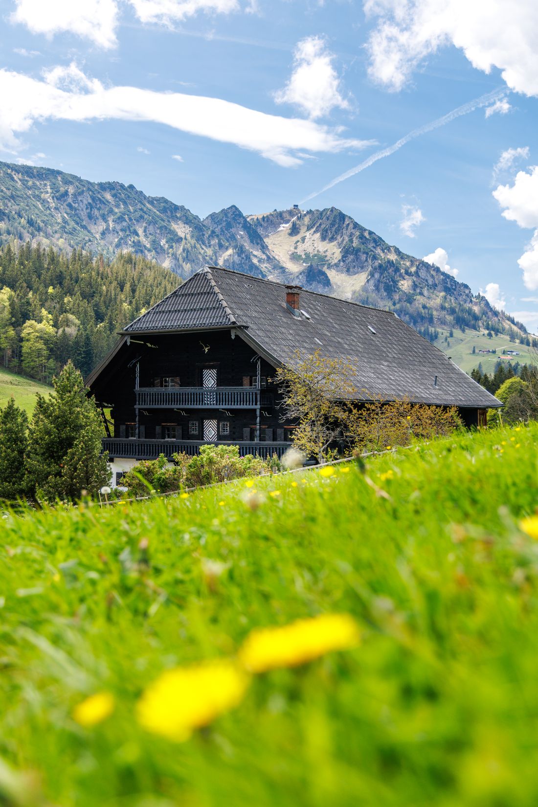 Hocherbalm am Fuße des Hochfelln