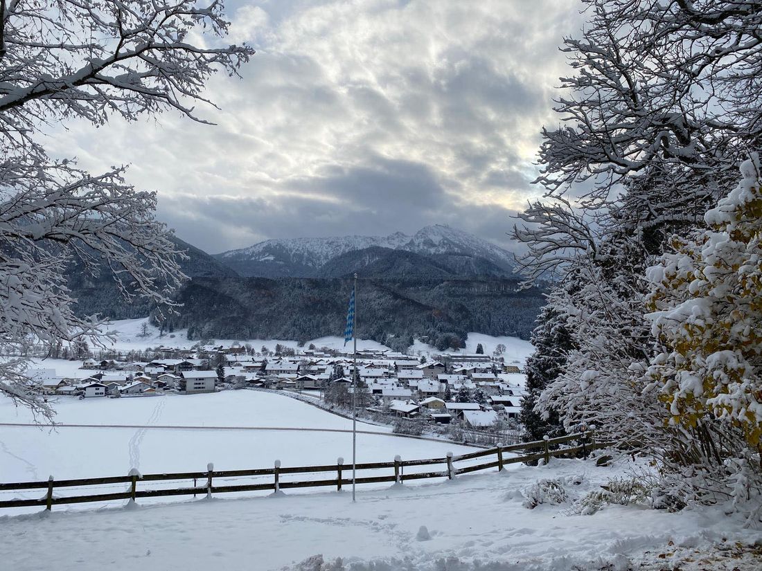 winter am schellenberg