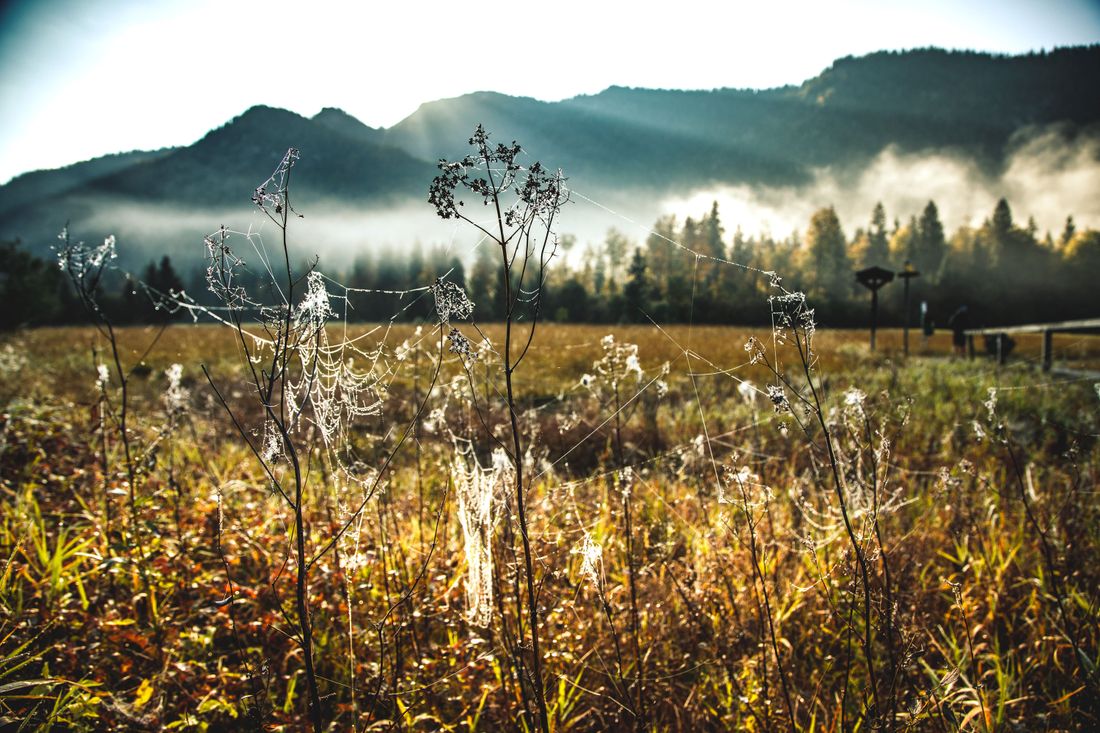 Drei-Seen-Gebiet-zwischen-Reit-im-Winkl-und-Ruhpolding-im-Herbst