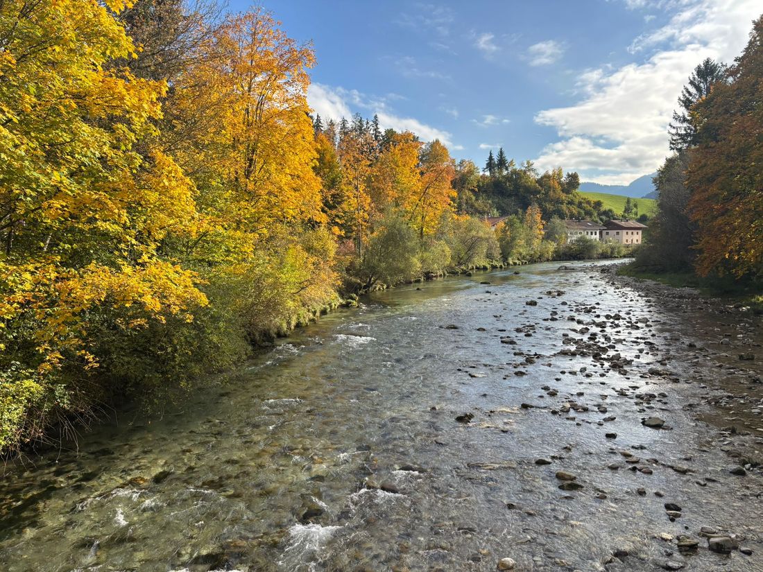 Die Ferienwohnung befindet sich in einer absolut ruhigen Umgebung, mitten in der wunderschönen Natur.