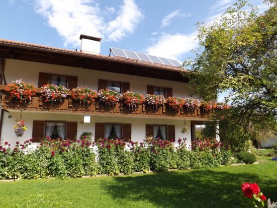 Ferienwohnung Hilger Hausansicht