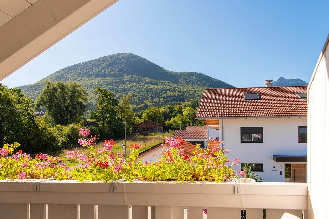 Blick aus der Ferienwohnung Sternenhimmel